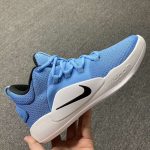 Replica Nike Hyperdunk X low TB Blue